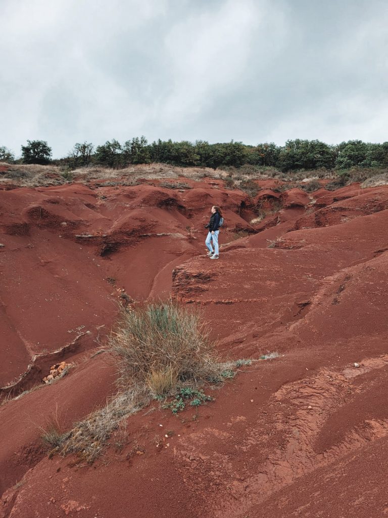 Rougier de Camarès - Aveyron