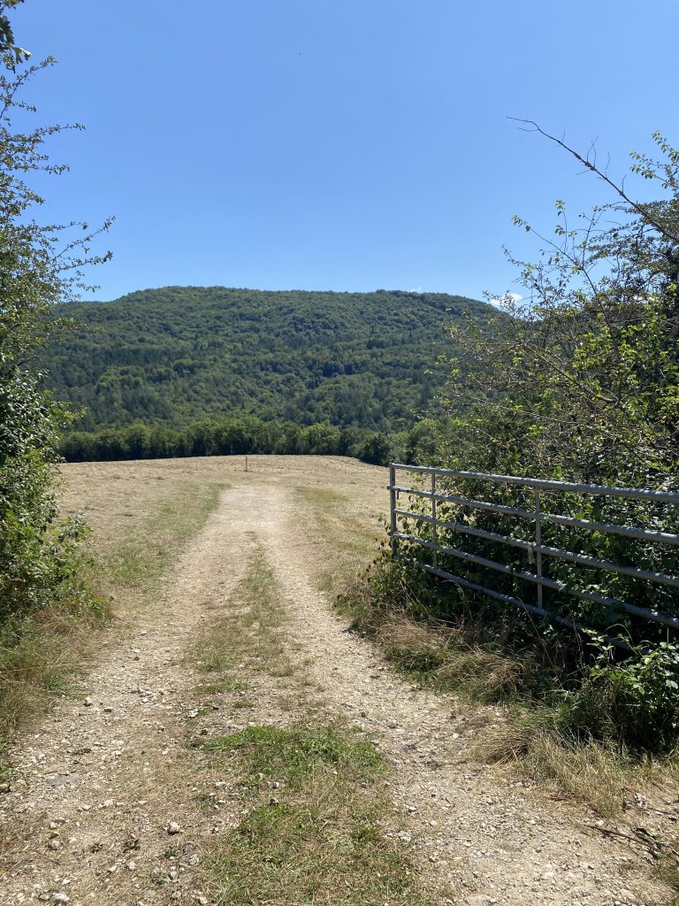 Portail à bétail - direction les sauts de Charmine